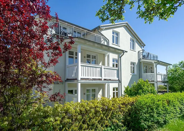 Seerose - 18 Зеллин